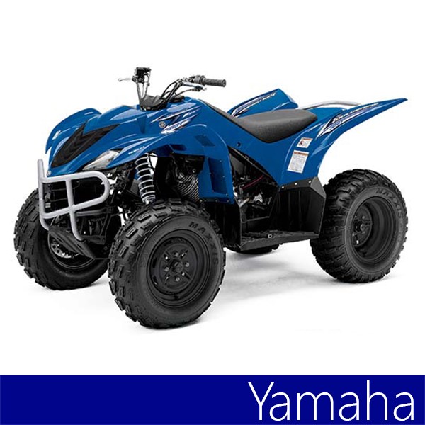 Je Pistons yamaha wolverine 450