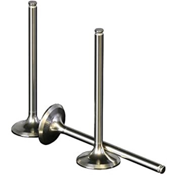Titanium & Std Valves